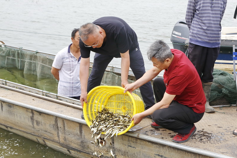 養護水生生物資源 促進生態文明建設