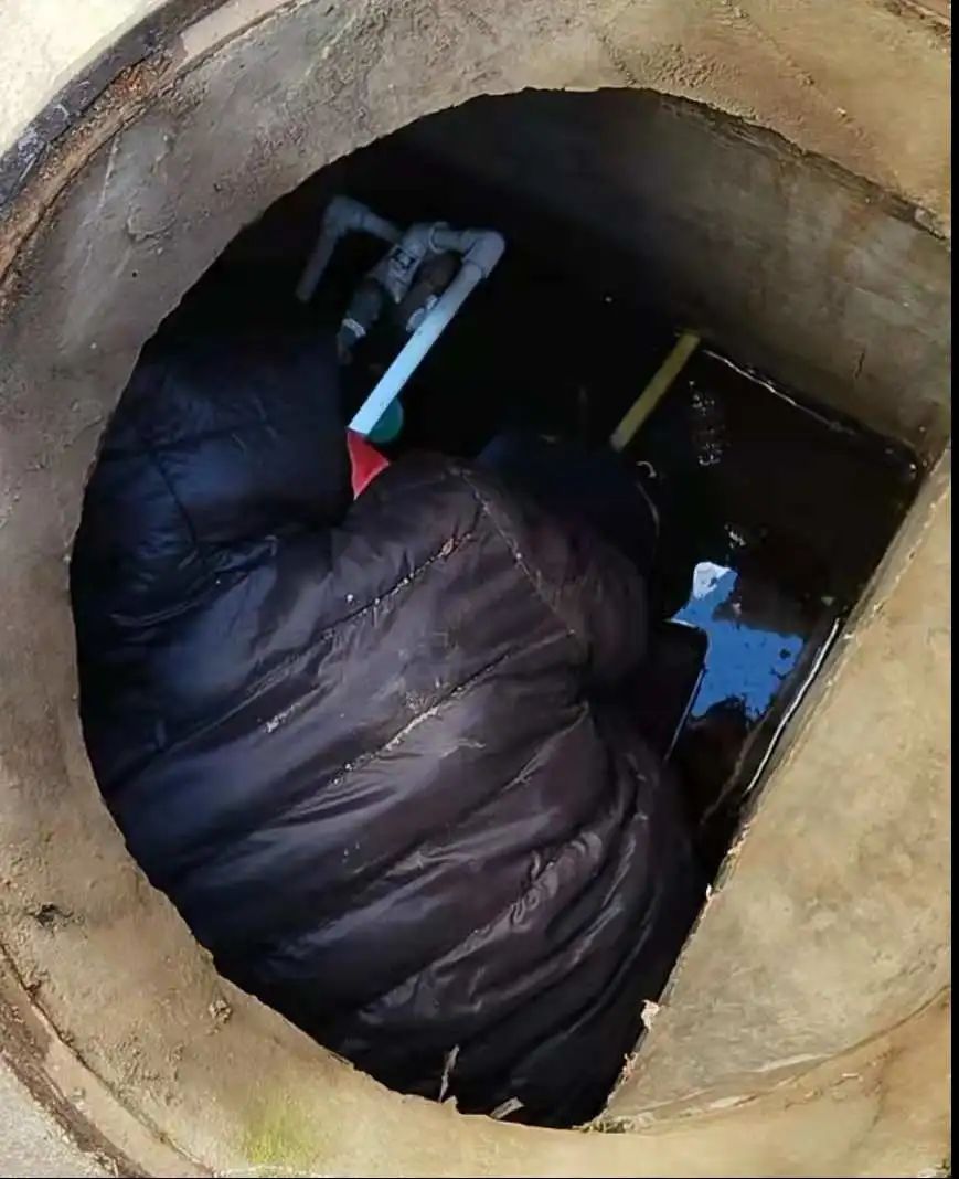 優化營商環境丨表務管理公司優化管理 提高特業貿易結算表精準度