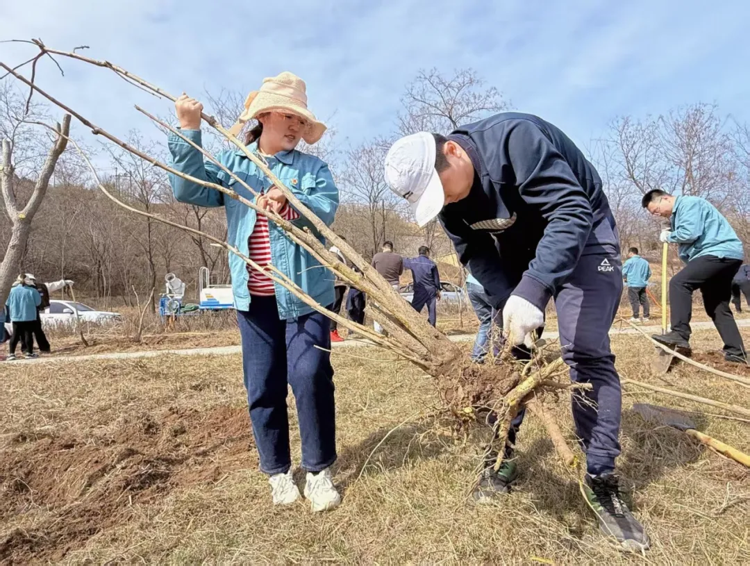 黨建引領添新綠 環保先行正當時 